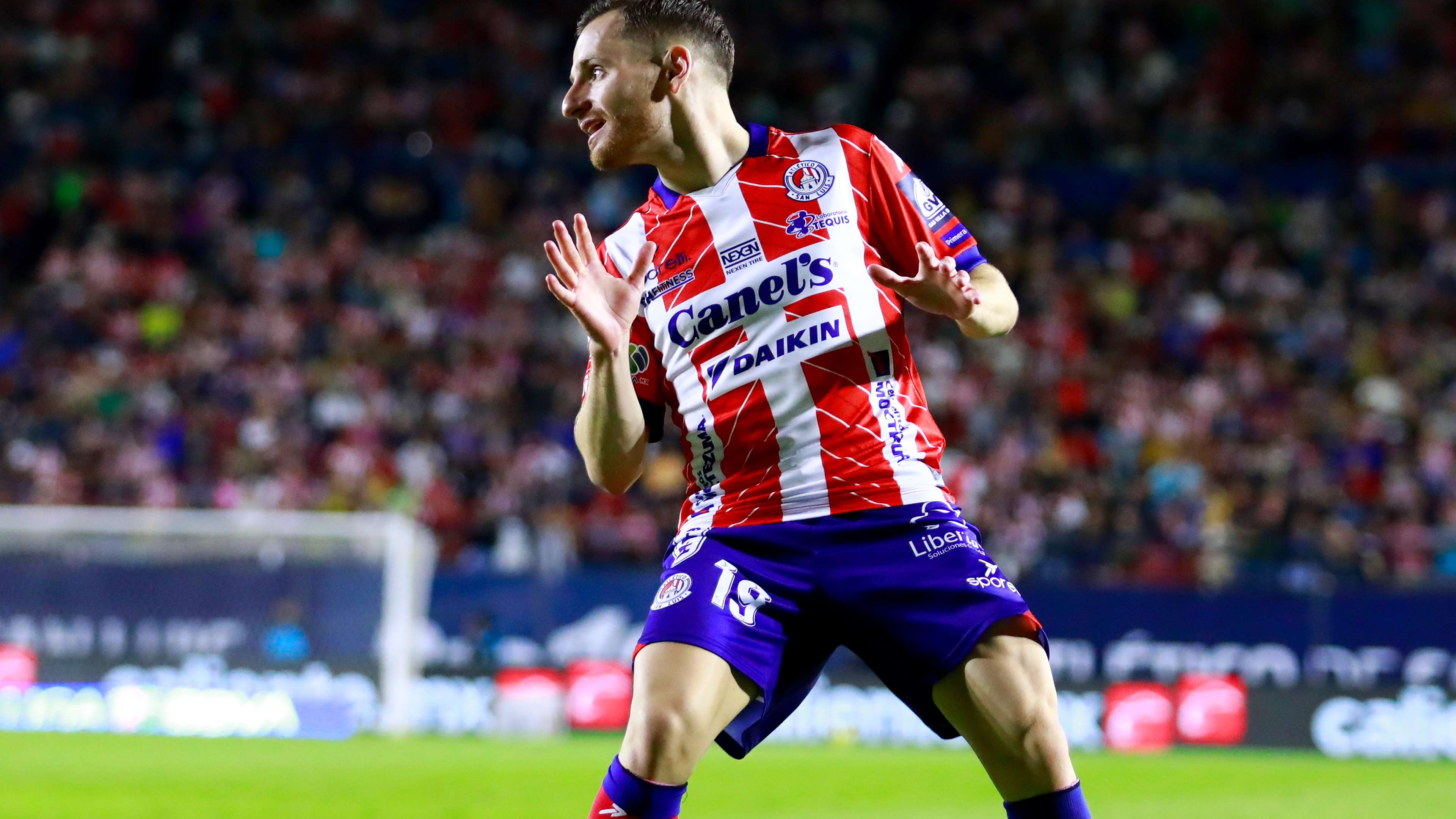 广东男篮未 广东男篮未