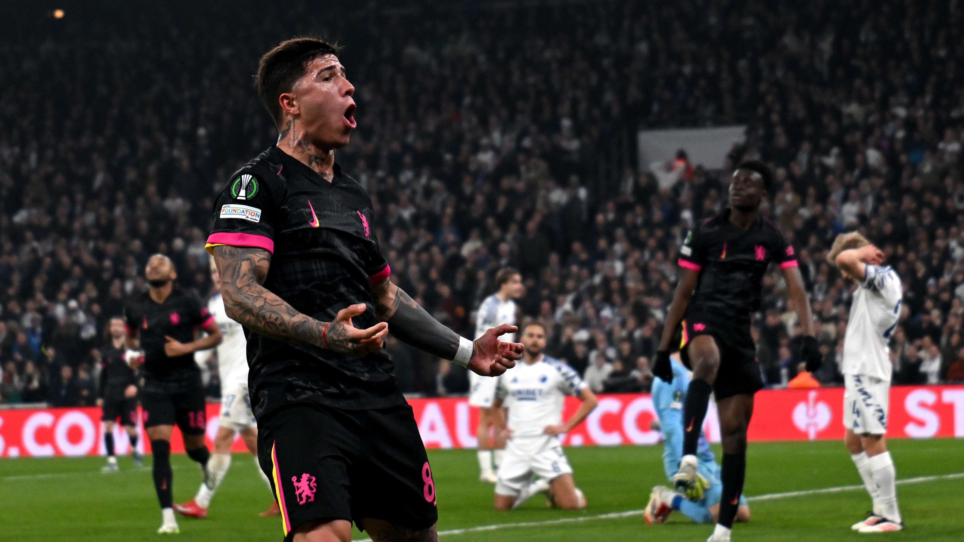 版的蒂姆 版的蒂姆