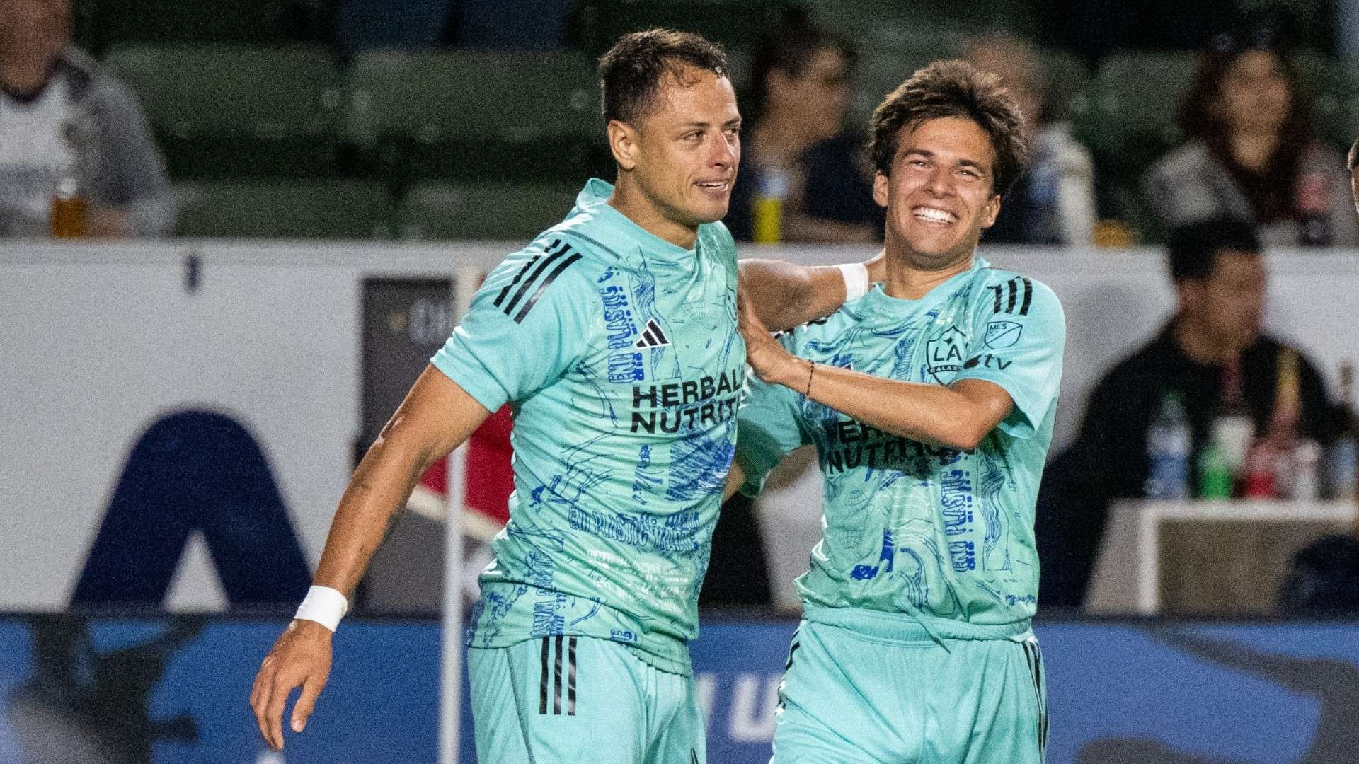 间的沟通影 间的沟通影