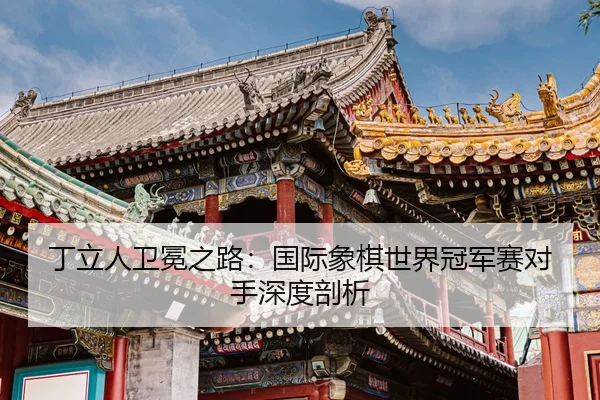 ding-li-ren-wei-mian-zhi-lu-guo-ji-xiang-qi-shi-jie-guan-jun-sai-dui-shou-shen-du-pou-xi-2-139.jpg