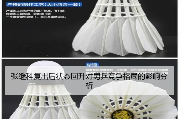 张继科复出后状态回升对男乒竞争格局的影响分析