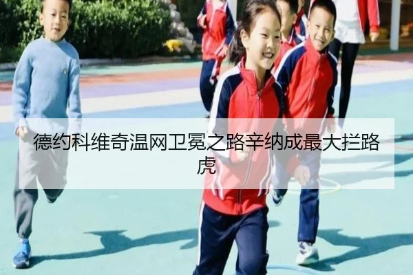 de-yue-ke-wei-qi-wen-wang-wei-mian-zhi-lu-xin-na-cheng-zui-da-lan-lu-hu-2-682.jpg