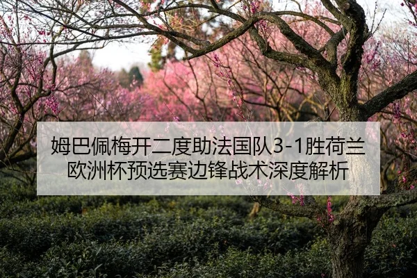 姆巴佩梅开二度助法国队3-1胜荷兰 欧洲杯预选赛边锋战术深度解析