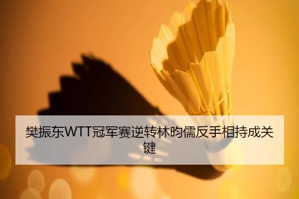 樊振东WTT冠军赛逆转林昀儒反手相持成关键