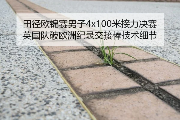 田径欧锦赛男子4x100米接力决赛英国队破欧洲纪录交接棒技术细节