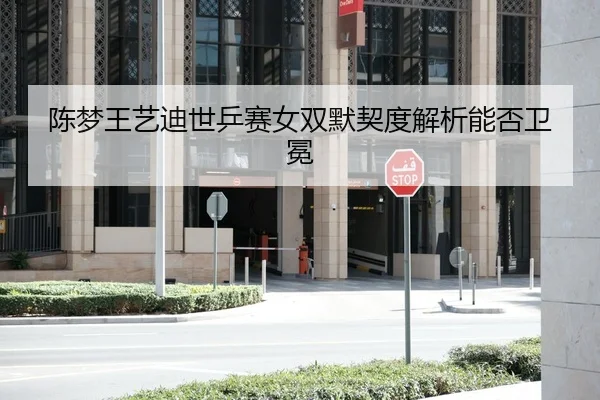 陈梦王艺迪世乒赛女双默契度解析能否卫冕