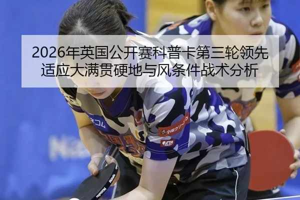 nian-ying-guo-gong-kai-sai-ke-pu-ka-di-san-lun-ling-xian-shi-ying-da-man-guan-ying-di-yu-feng-tiao-jian-zhan-shu-fen-xi-2-434.jpg